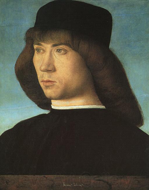 BELLINI, Giovanni Portrait of a Young Man 3iti Spain oil painting art